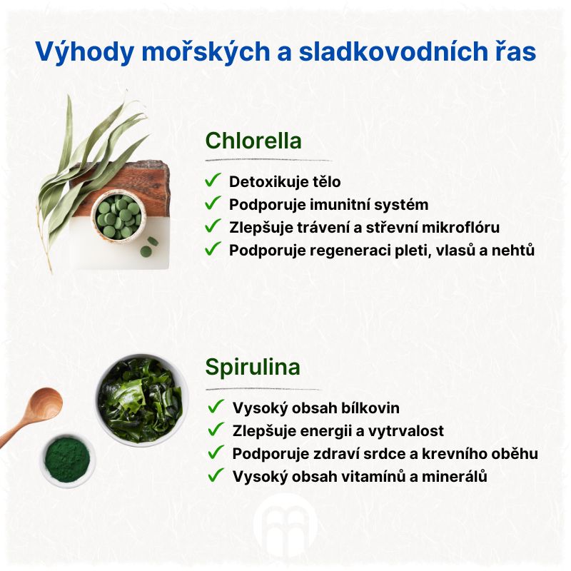 Výhody mořských a sladkovodních řas